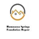 Homosassa Springs Foundation Repair logo